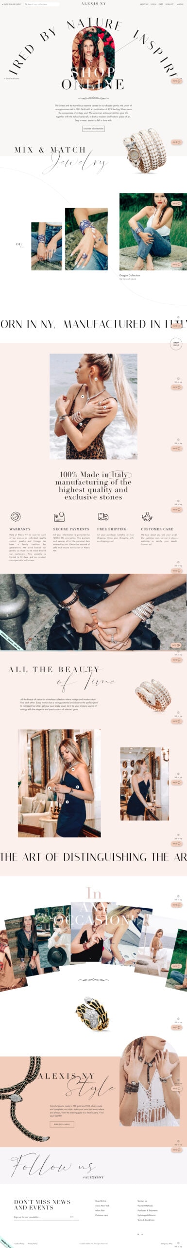 Site e-commerce Alexis NY — 3