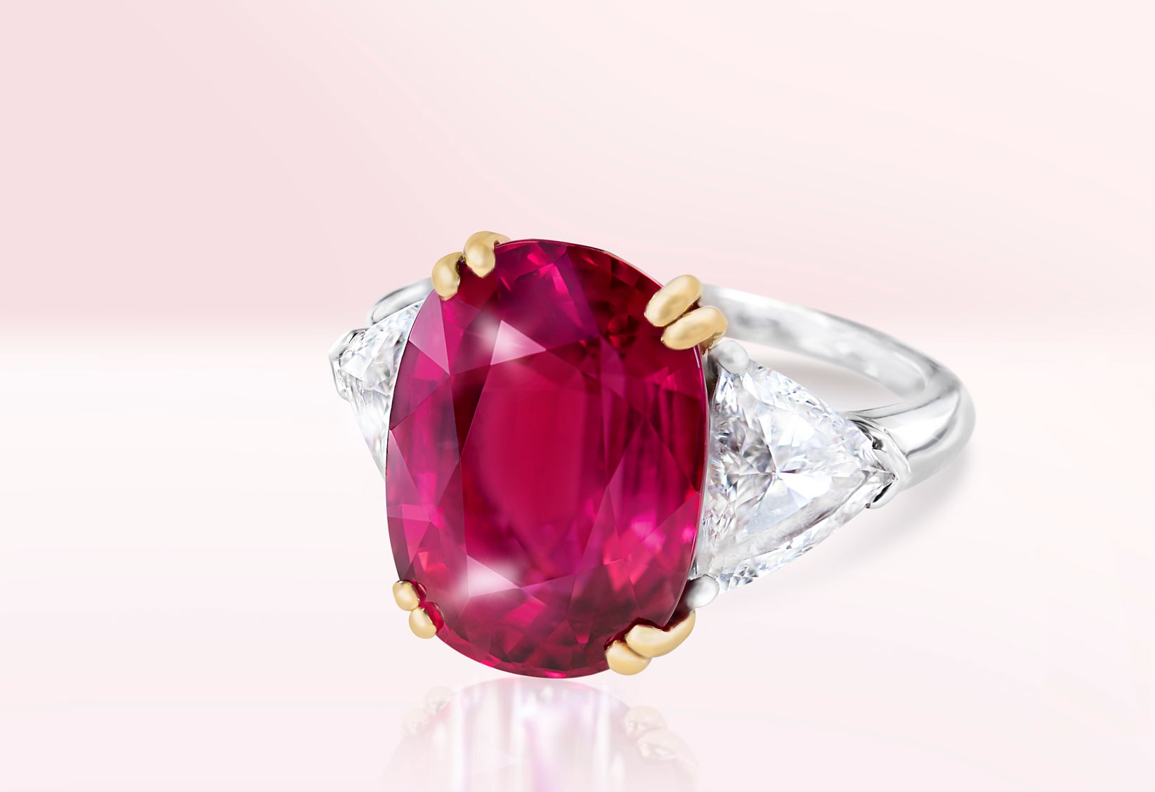 Bijoux natures mortes Diamonds&Co — 12