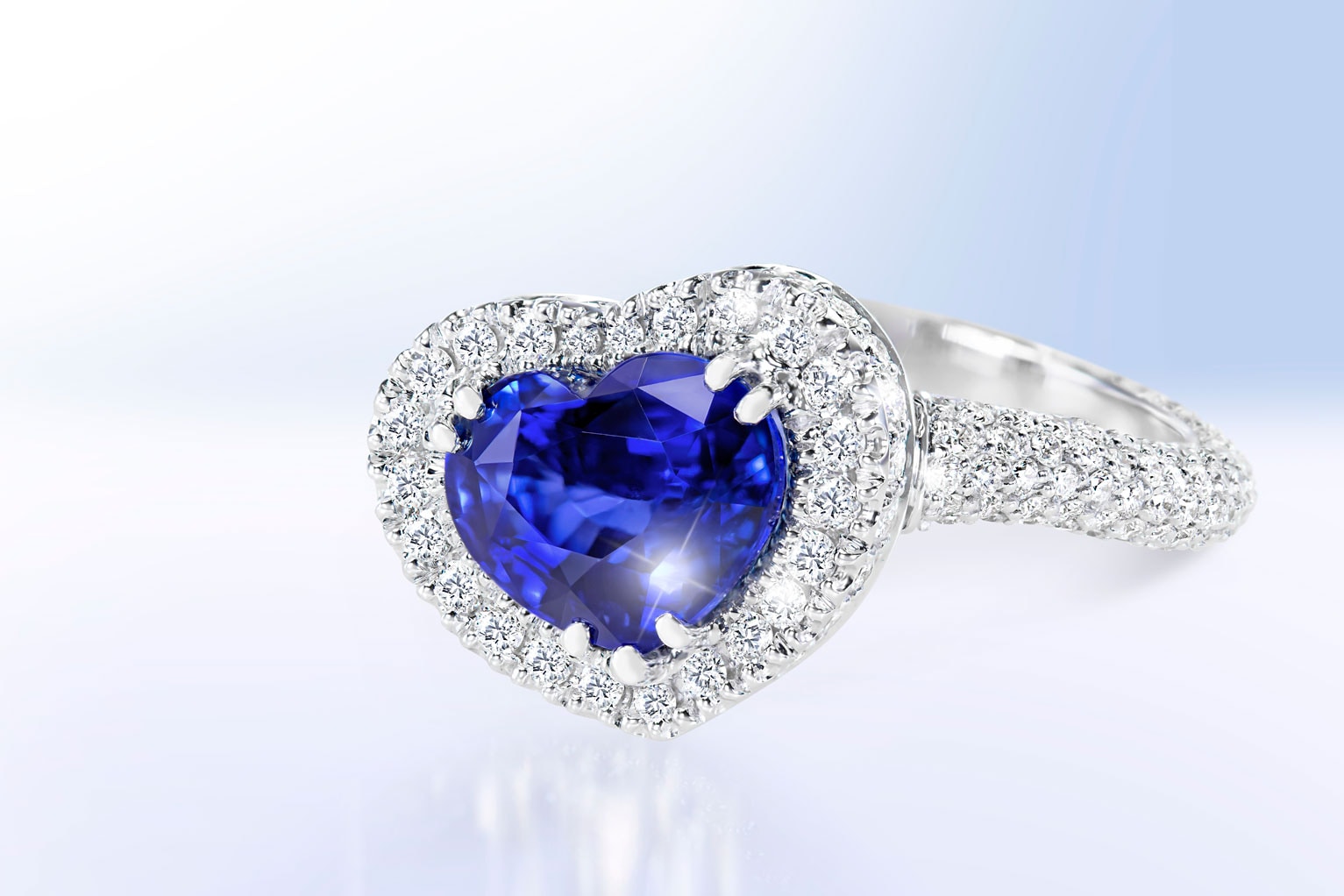 Bijoux natures mortes Diamonds&Co — 9