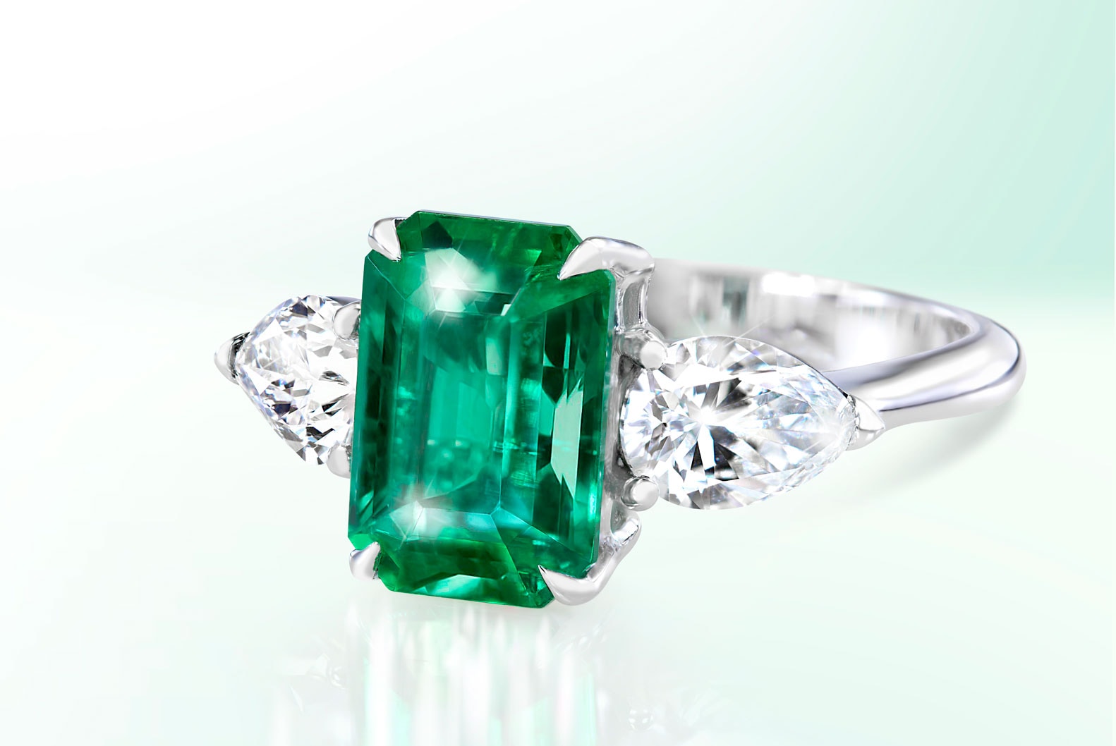 Bijoux natures mortes Diamonds&Co — 11