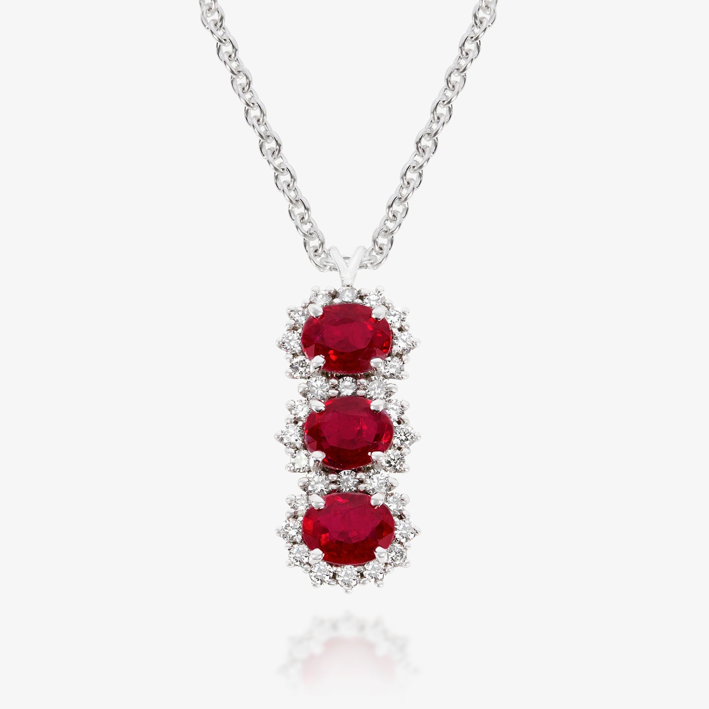 Joyas de naturaleza muerta magno — 5