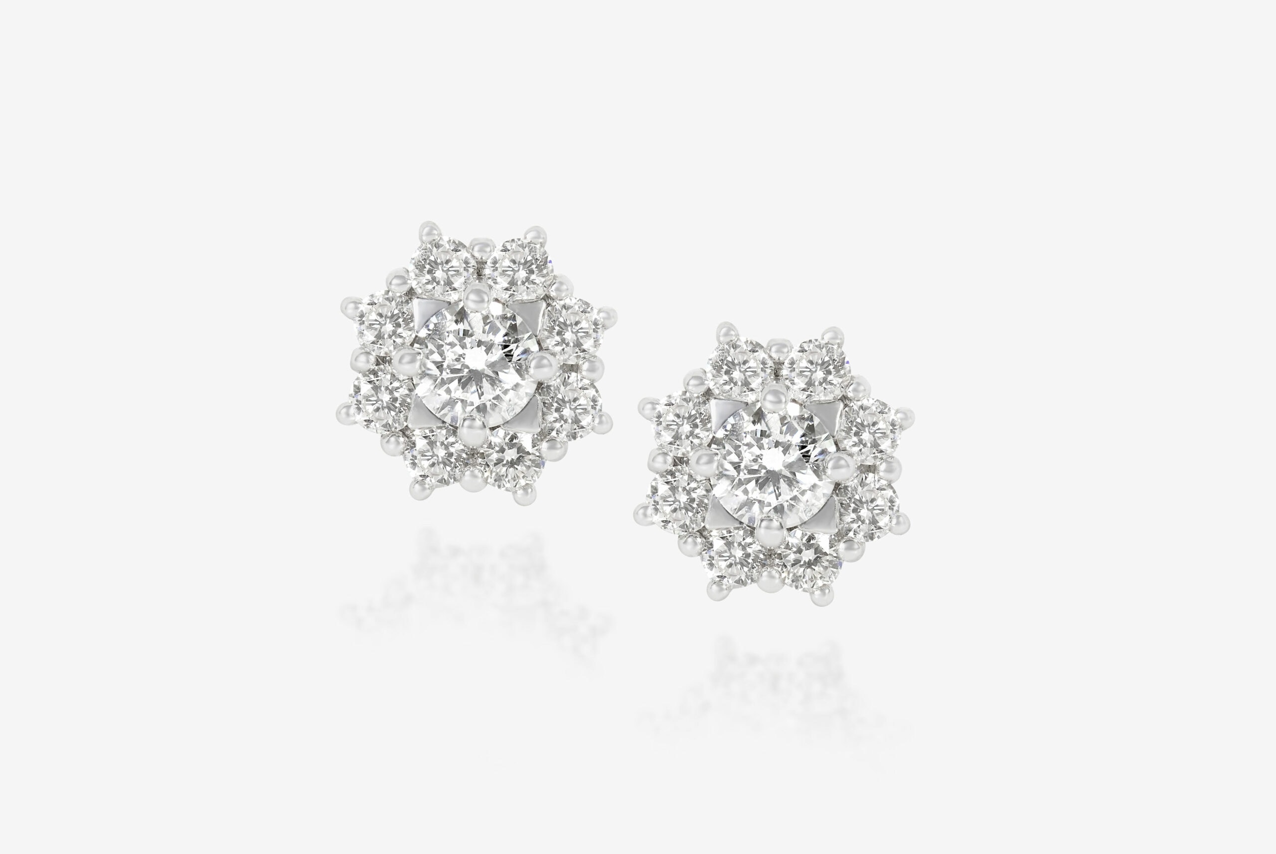 Joyas de naturaleza muerta magno — 21