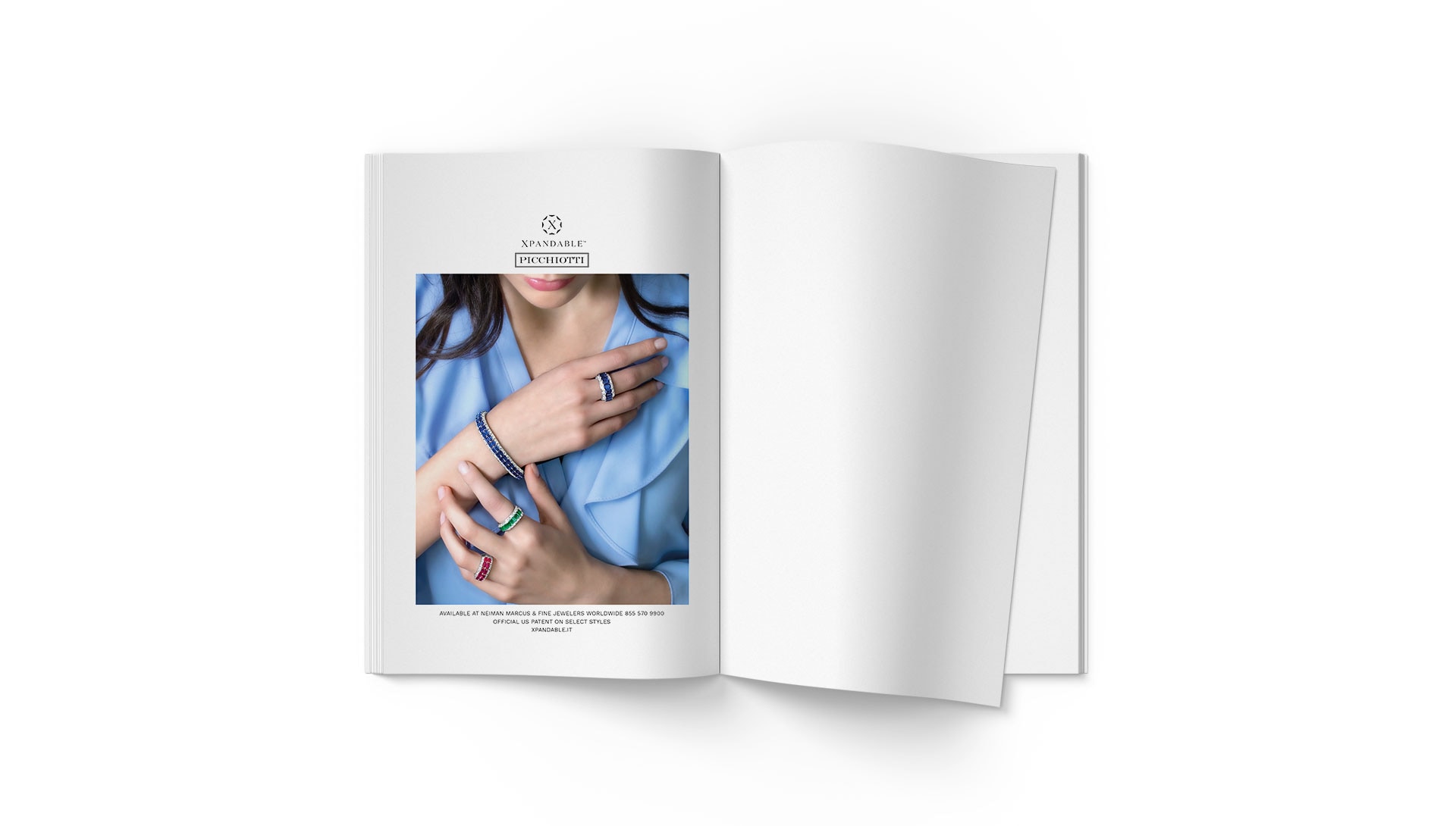 Campagne Picchiotti ADV USA — 1
