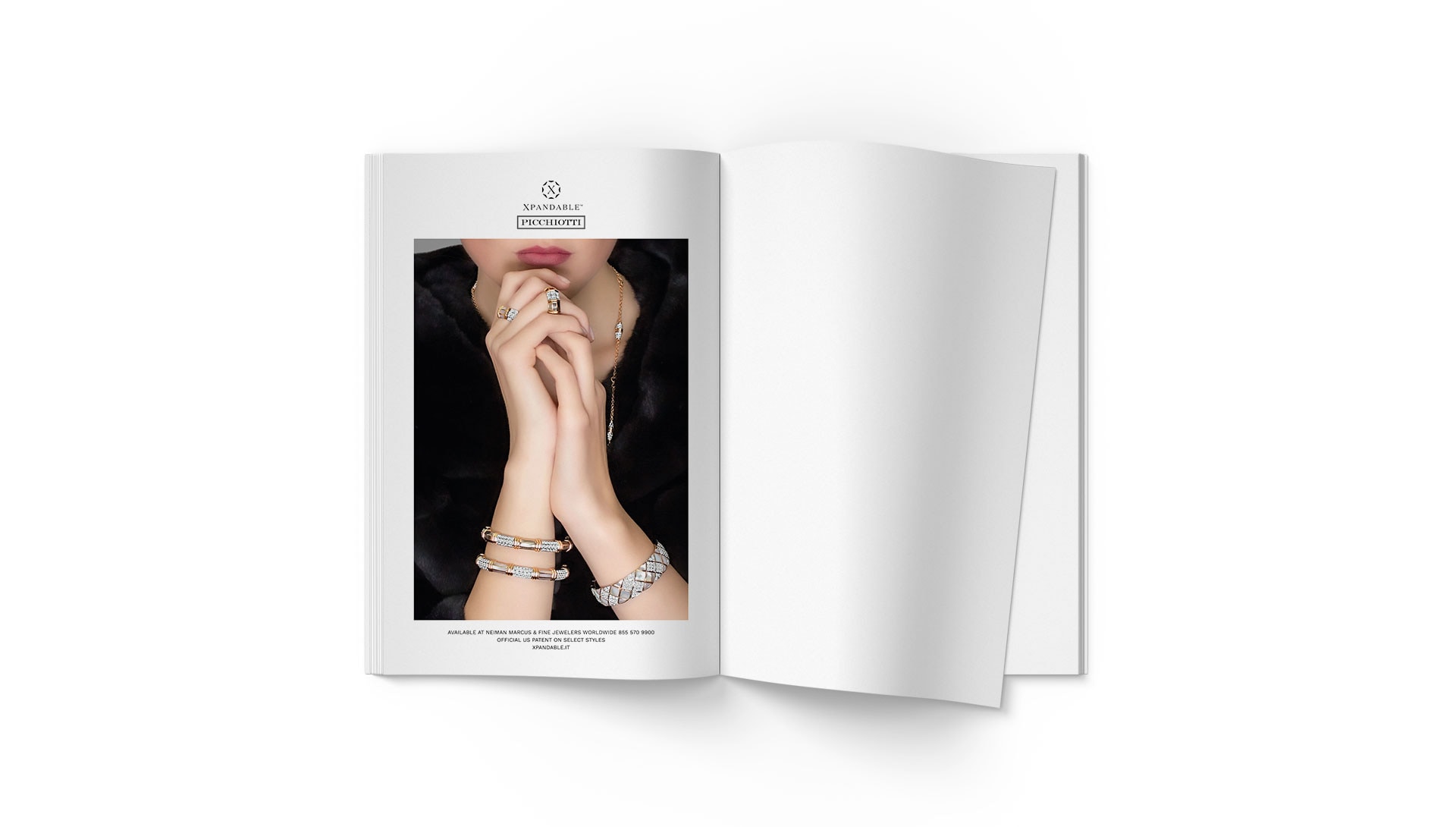 Campaña Picchiotti ADV USA — 1