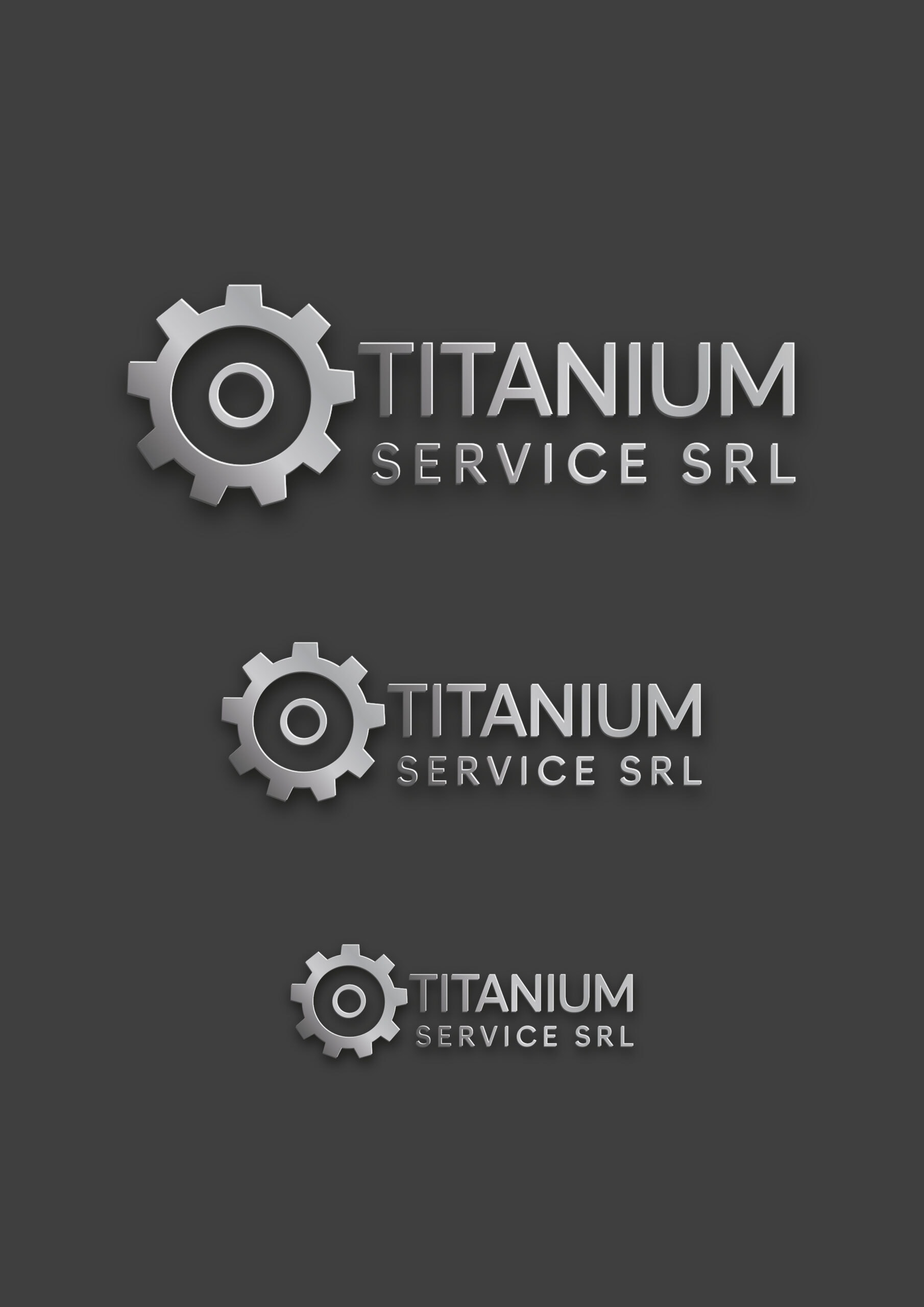Titanium Service-Logo – 1