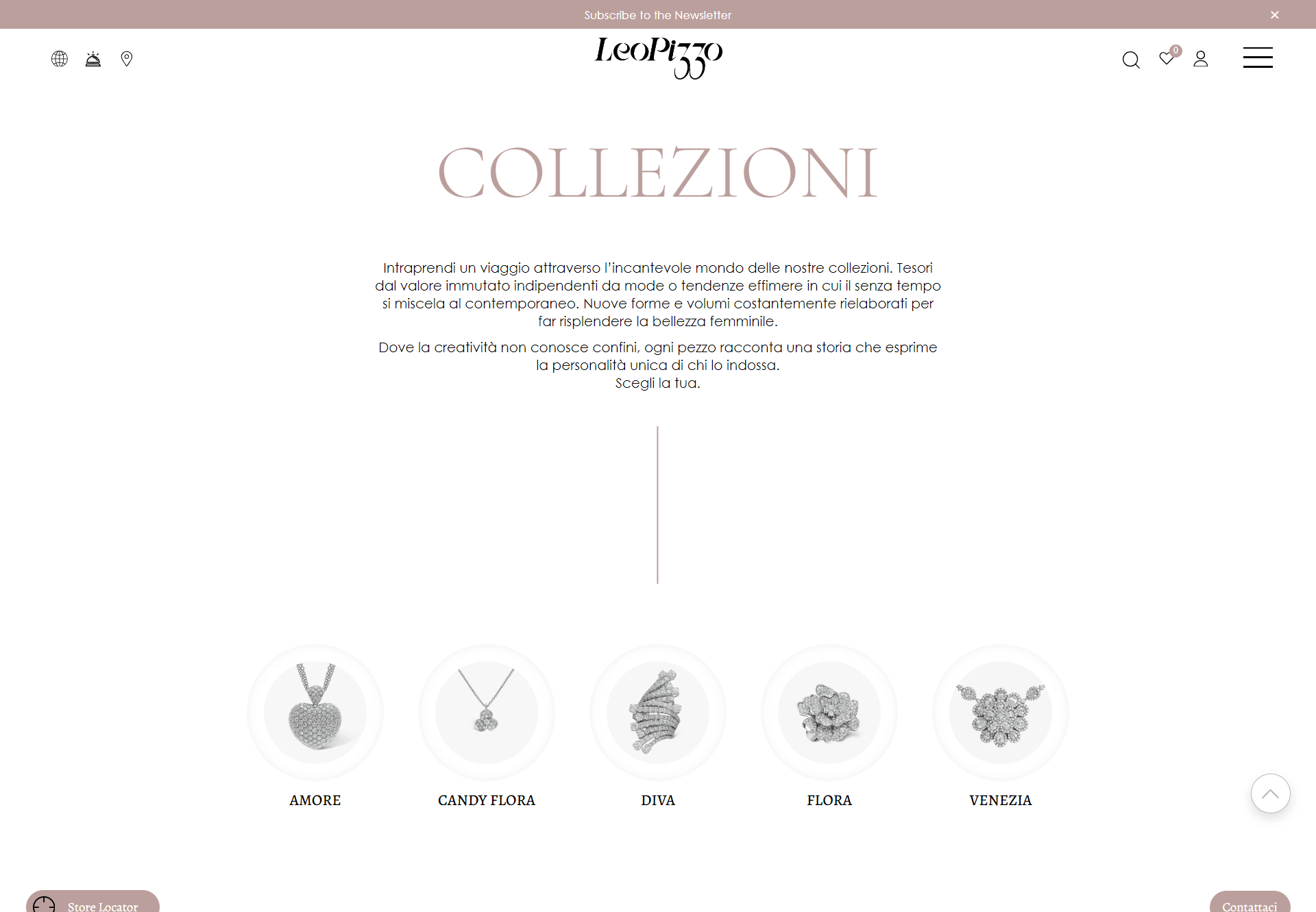 Leo Pizzo Info-Commerce-Website – 3
