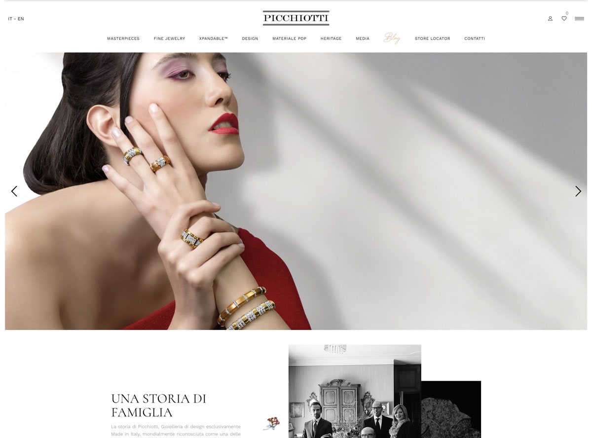 Picchiotti sito web